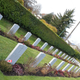 Illustration for article titled 2018 Remembrance Day at Mountain View Cemetery